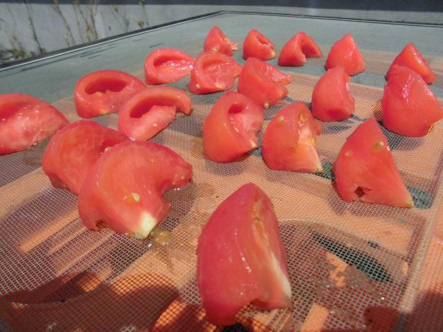 ★。★ドライトマトを作ってみようかと・・・美蔵