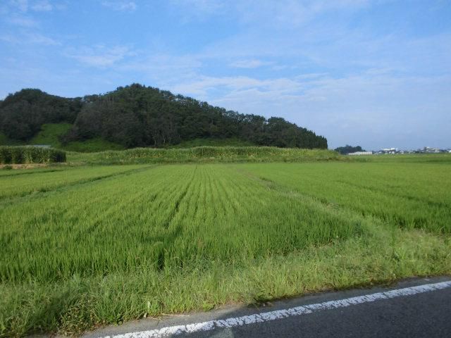 ★。★美蔵の田んぼは順調に育っております・・・美蔵