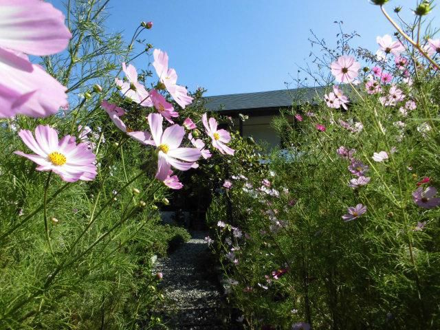 ★。★美蔵は本日、定休日です・・・美蔵