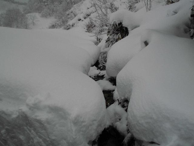 ★。★今日は、穏やか天気ですが・・・美蔵