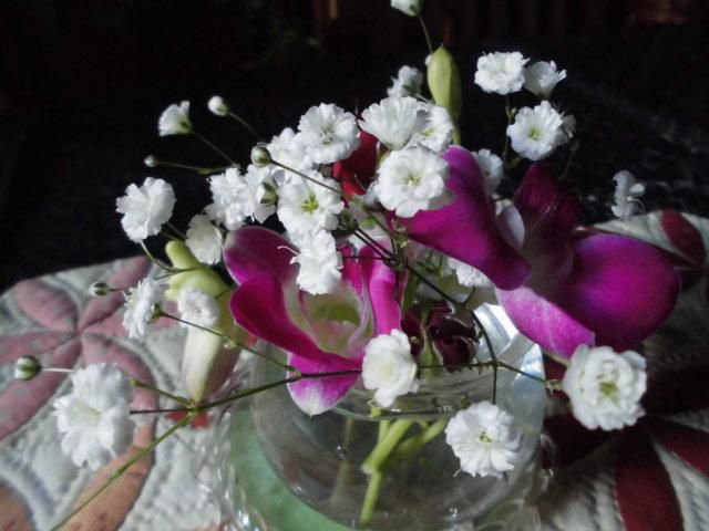 ★。★テーブルの花をかえてみました・・・美蔵