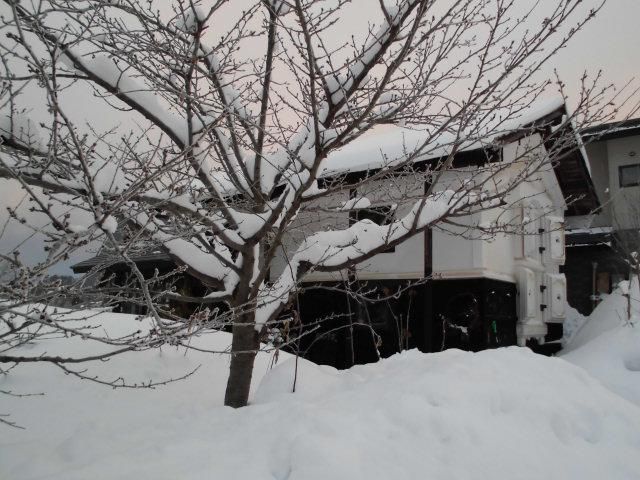★。★明日は、美蔵お休みです・・・美蔵