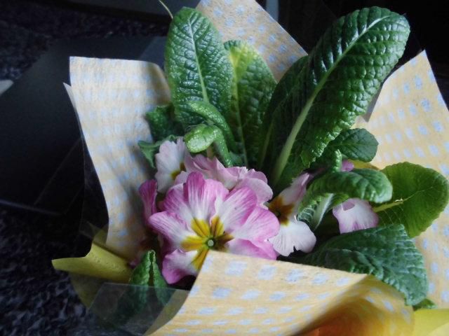 ★。★可愛いお花頂きました・・・美蔵