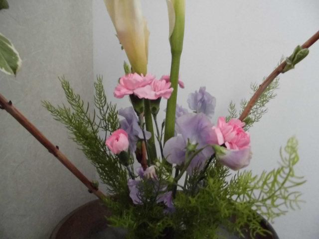 ★。★本日も雪です（－。－）；・・・美蔵