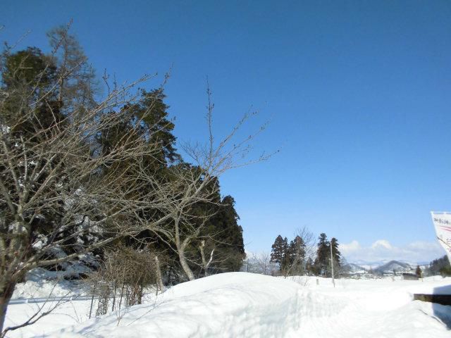 ★。★本日、定休日です・・・美蔵
