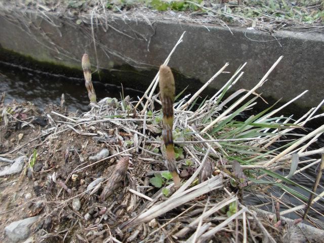 ★。★気が付かなかったのですが・・・美蔵