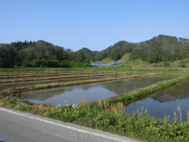 ★。★今が「しろかき」真っ只中！！・・・美蔵
