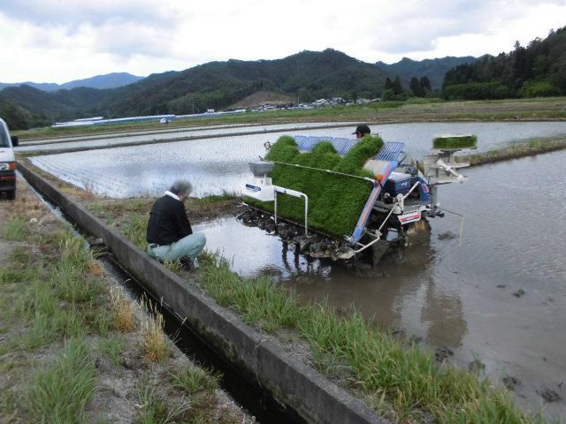 ★。★今日は、美蔵の田んぼの「田植え」です・・・美蔵