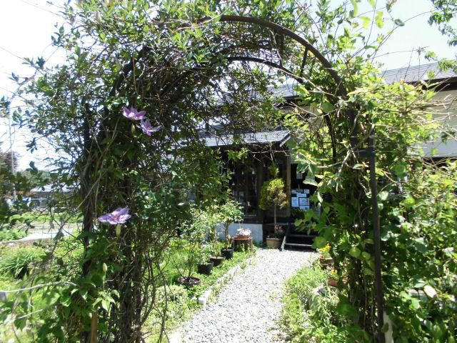 ★。★そろそろ、美蔵の庭のアーチも花が咲き始めました・・・美蔵