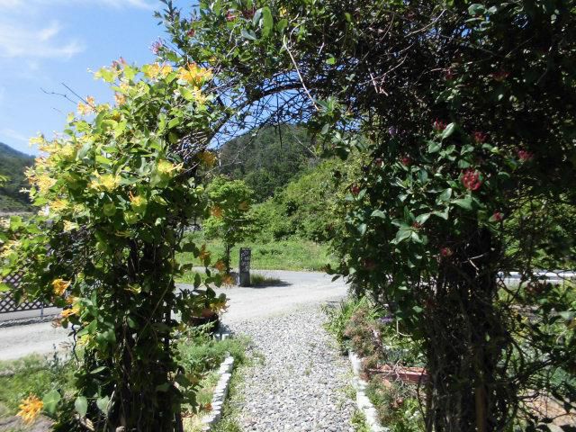 ★。★美蔵の庭「アーチ」の花が見ごろです・・・美蔵