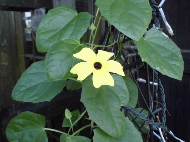 ★。★本日、定休日です・・・美蔵