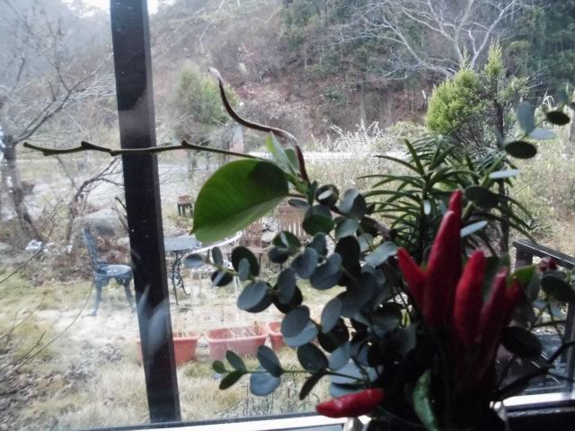 ★。★１２月の定休日は・・・美蔵