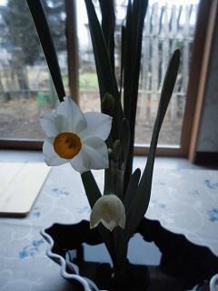 ★。★本日のお稽古は・・・美蔵