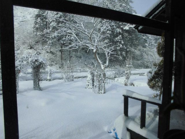 ★。★久しぶりの雪です・・・美蔵
