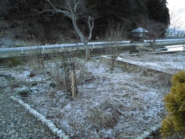 ★。★今日の朝は、(@_@)ぽん・・・美蔵a