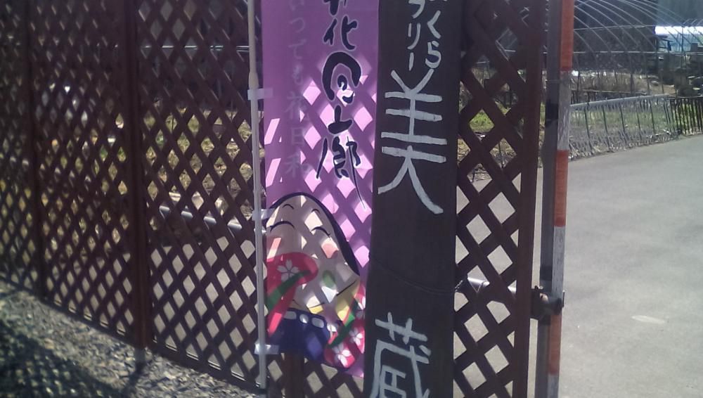 ★。★今日から、やまがた花回廊がはじまります…美蔵