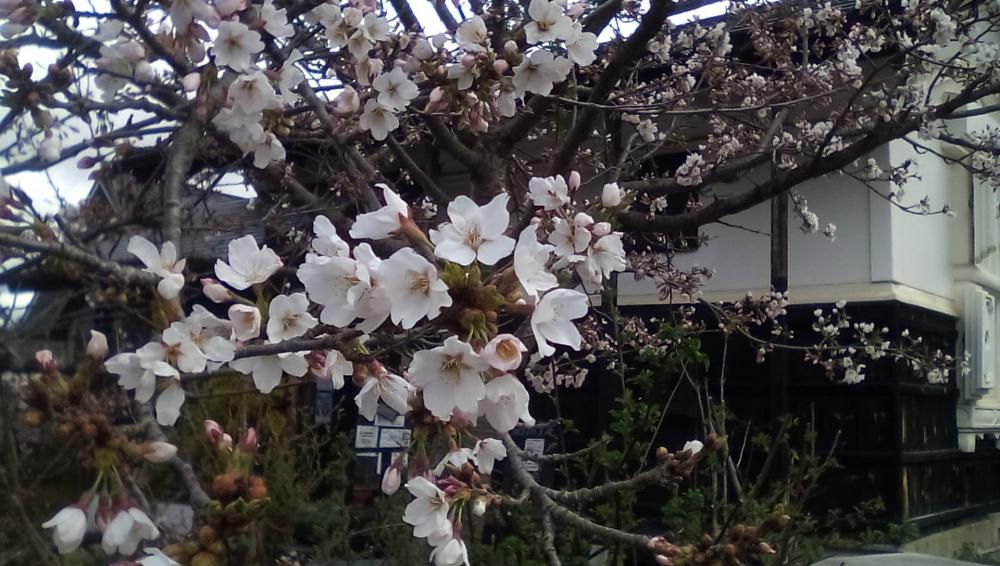★。★日・月は、貸切になります…美蔵