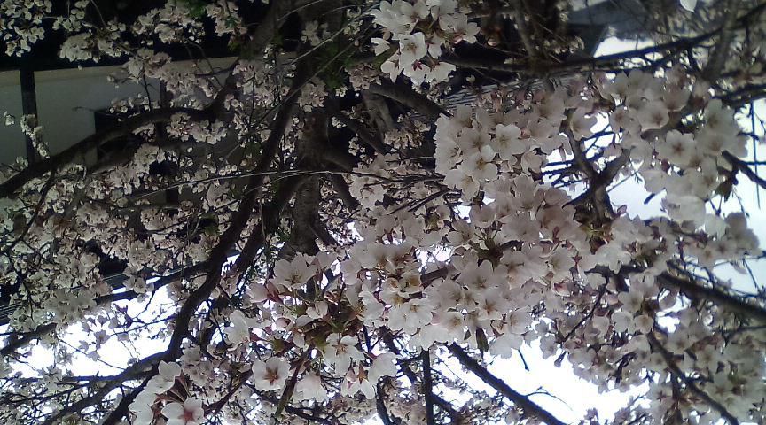 ★。★今日は、貸し切りになります…美蔵