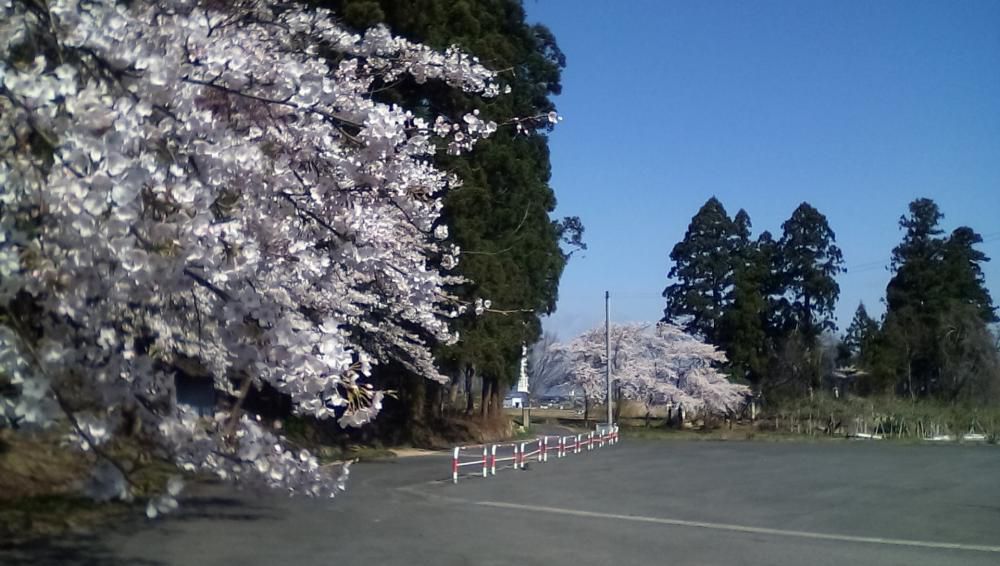 ★。★今日は、定休日です…美蔵
