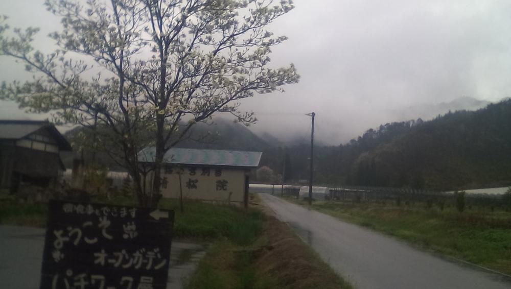 ★。★雨の木曜日ですね…美蔵