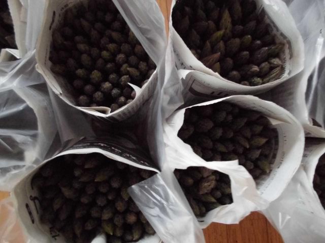 ★。★アスパラを大量に買いました・・・美蔵