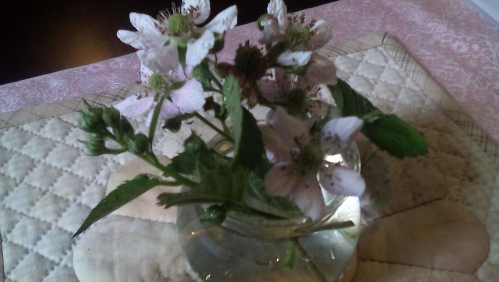 ★。★今日のテーブルの花は…美蔵