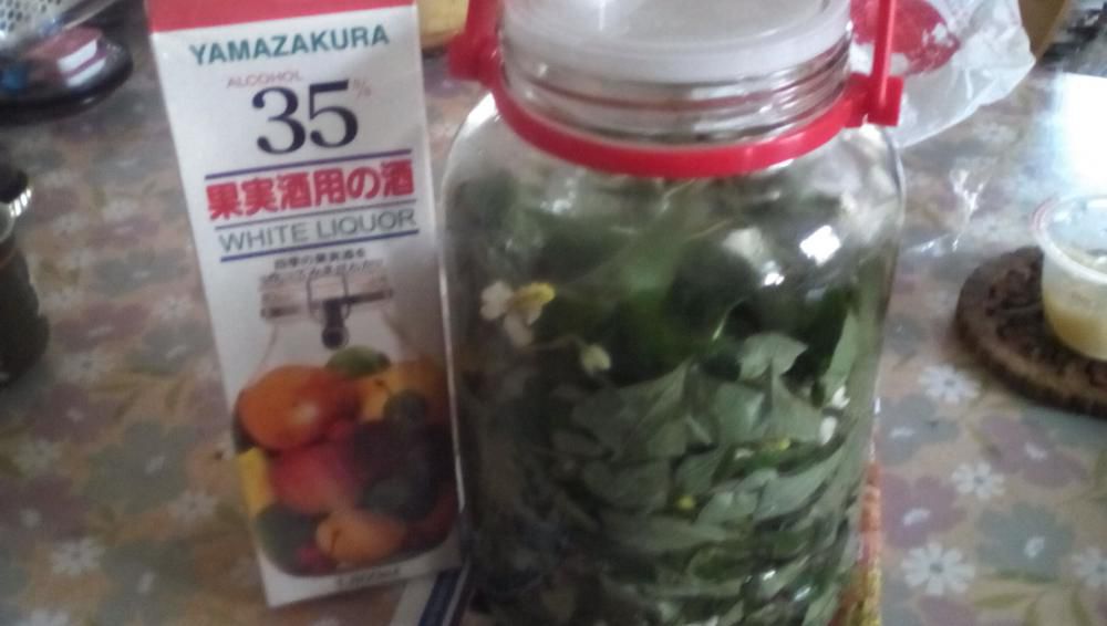 ★。★今が漬け込み時期かな？…美蔵