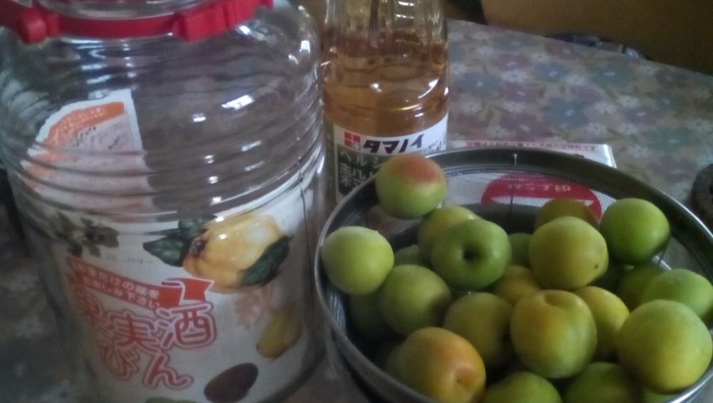 ★。★おいしそうな「梅」なので…美蔵