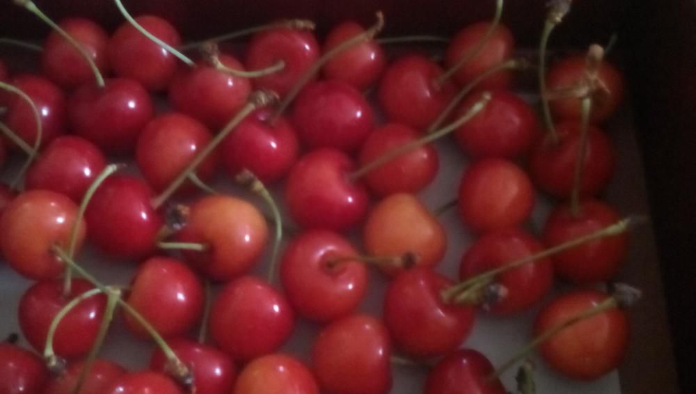 ★。★おいしそうなもの頂きました…美蔵