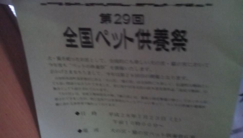 ★。★明日は、12時から営業になります…美蔵