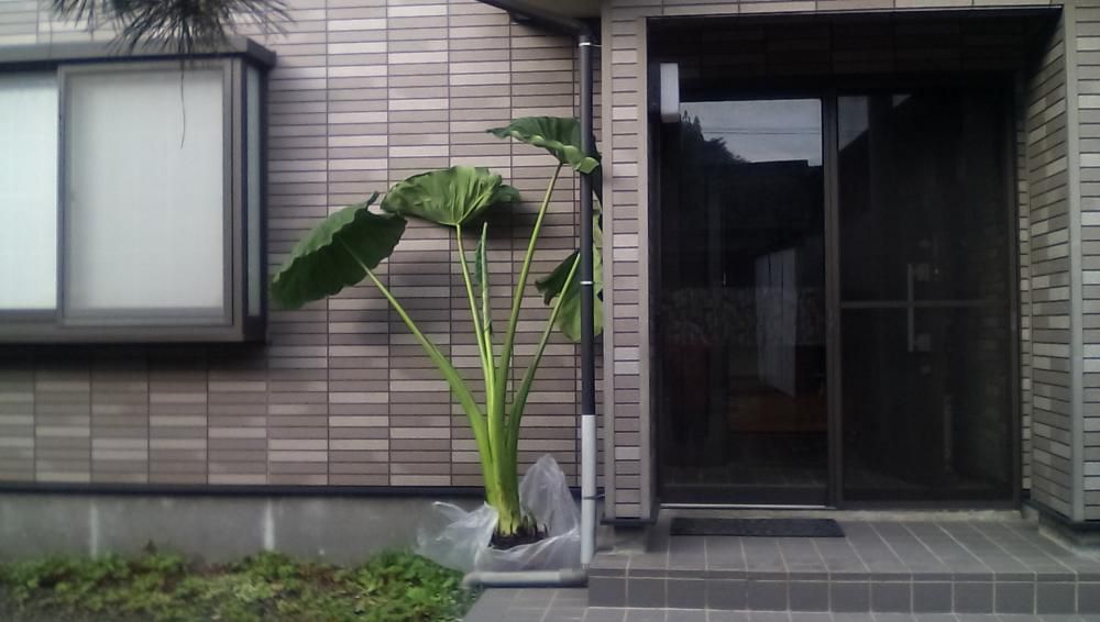 ★。★あさイチの頂き物…美蔵