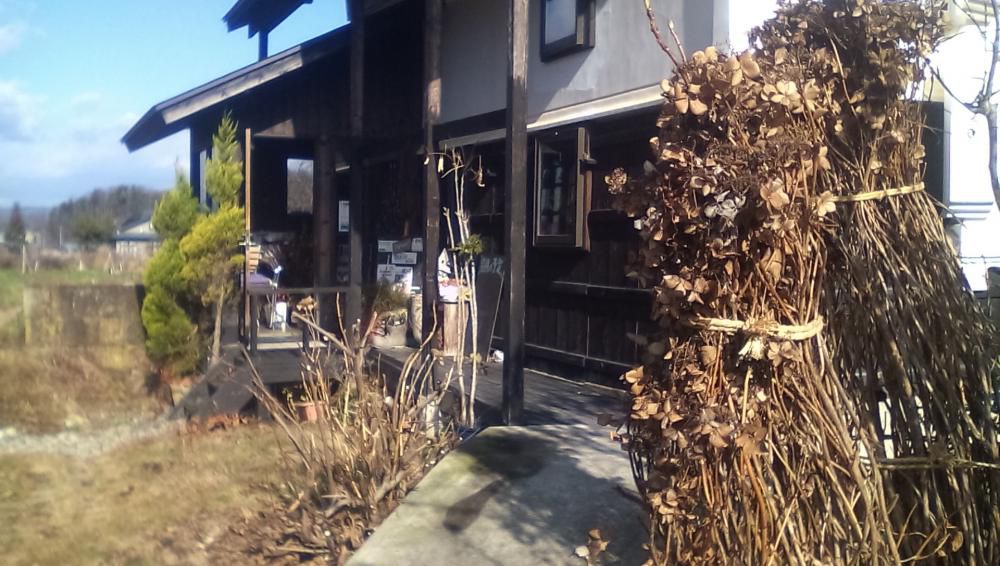 ★。★一応、冬囲い終わりました…美蔵