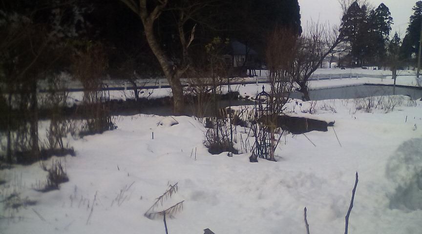 ★。★雪がとけました…美蔵