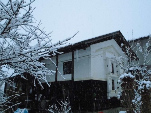 ★。★墨絵のような・・・美蔵