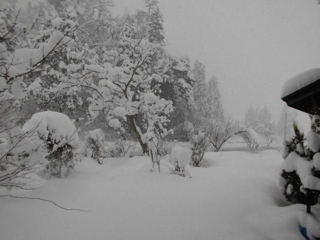 ★。★いや～　すごい雪です！！・・・美蔵