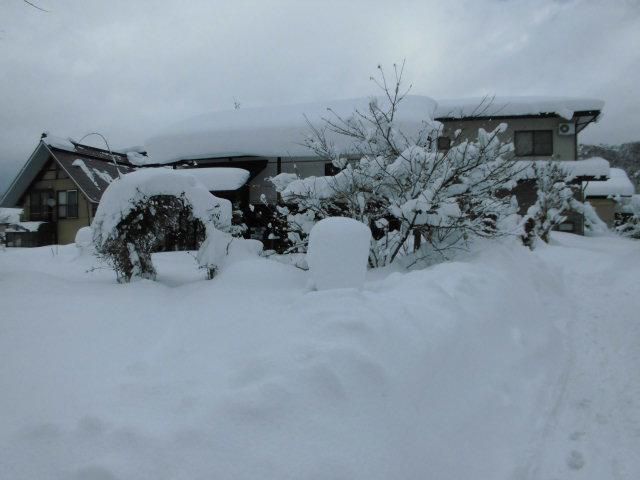 ★。★今日も雪ですねぇ～・・・美蔵