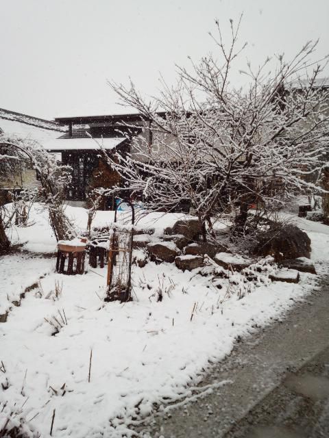 ★。★今月最後のお稽古は・・・美蔵