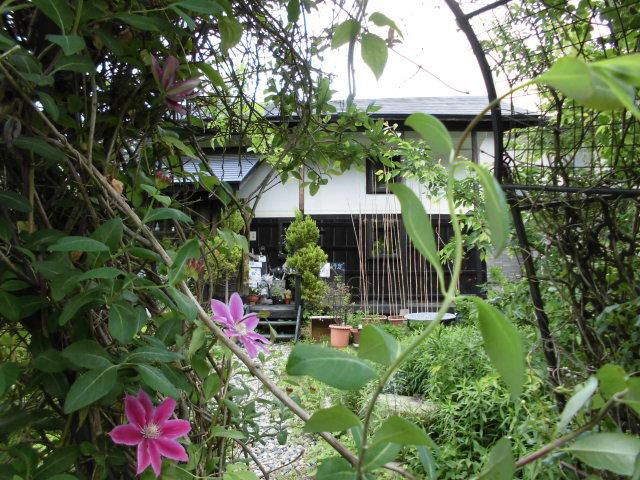 ★。★やっと！！「薔薇」が咲き始めました・・・美蔵
