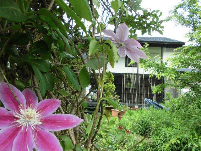 ★。★今日は、雨模様・・・美蔵