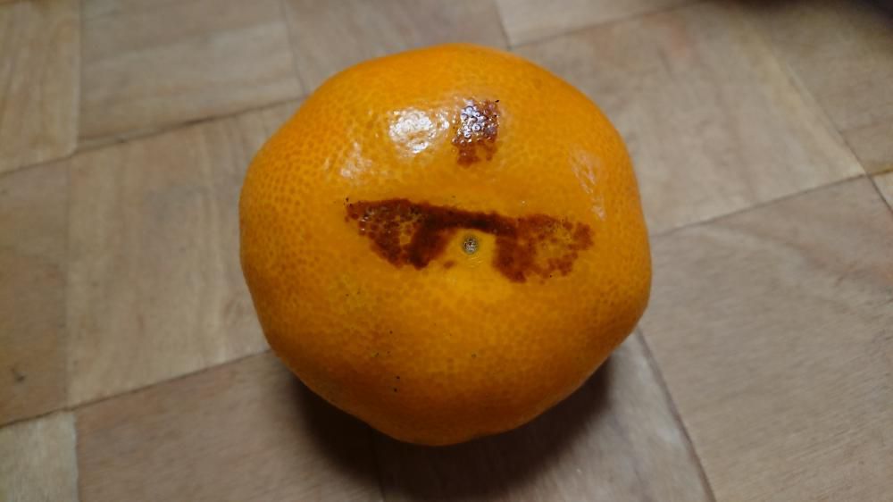 ★。★え～？？？・・・美蔵
