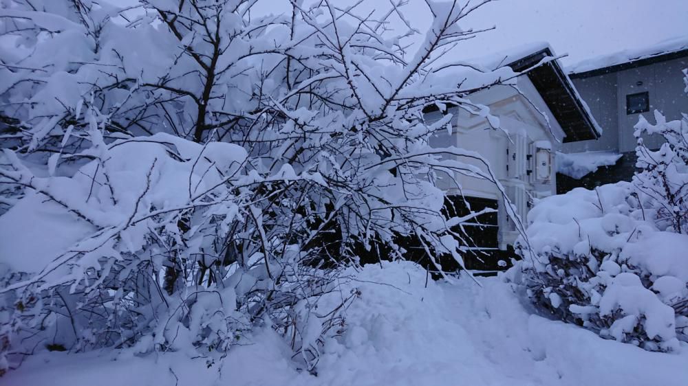 ★。★雪に埋もれてます・・・美蔵