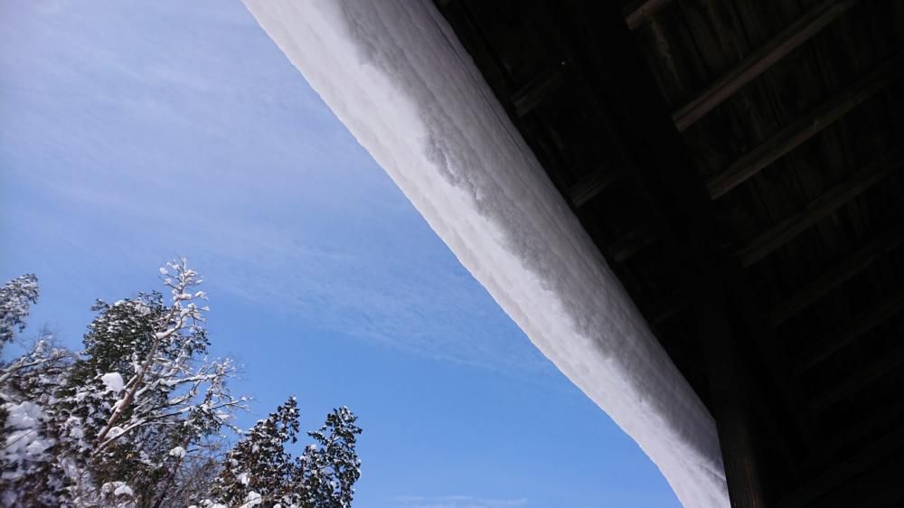 ★。★なかなか、雪が落ちません・・・美蔵