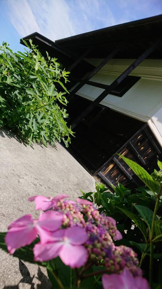 ★。★雲行きがあやしいです！！・・・美蔵