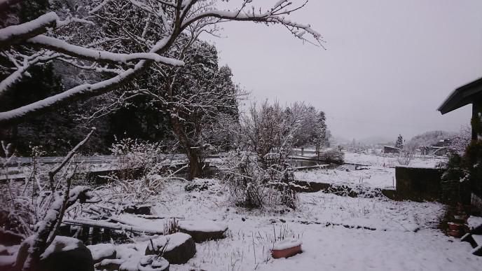 ★。★今頃　？雪・・・美蔵