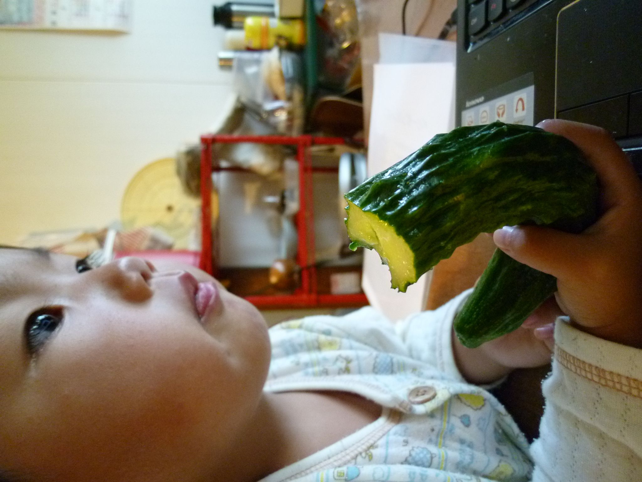好物でつるのって、ありかしら？ その2