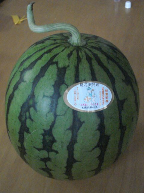 尾花沢　朝倉農園のスイカ