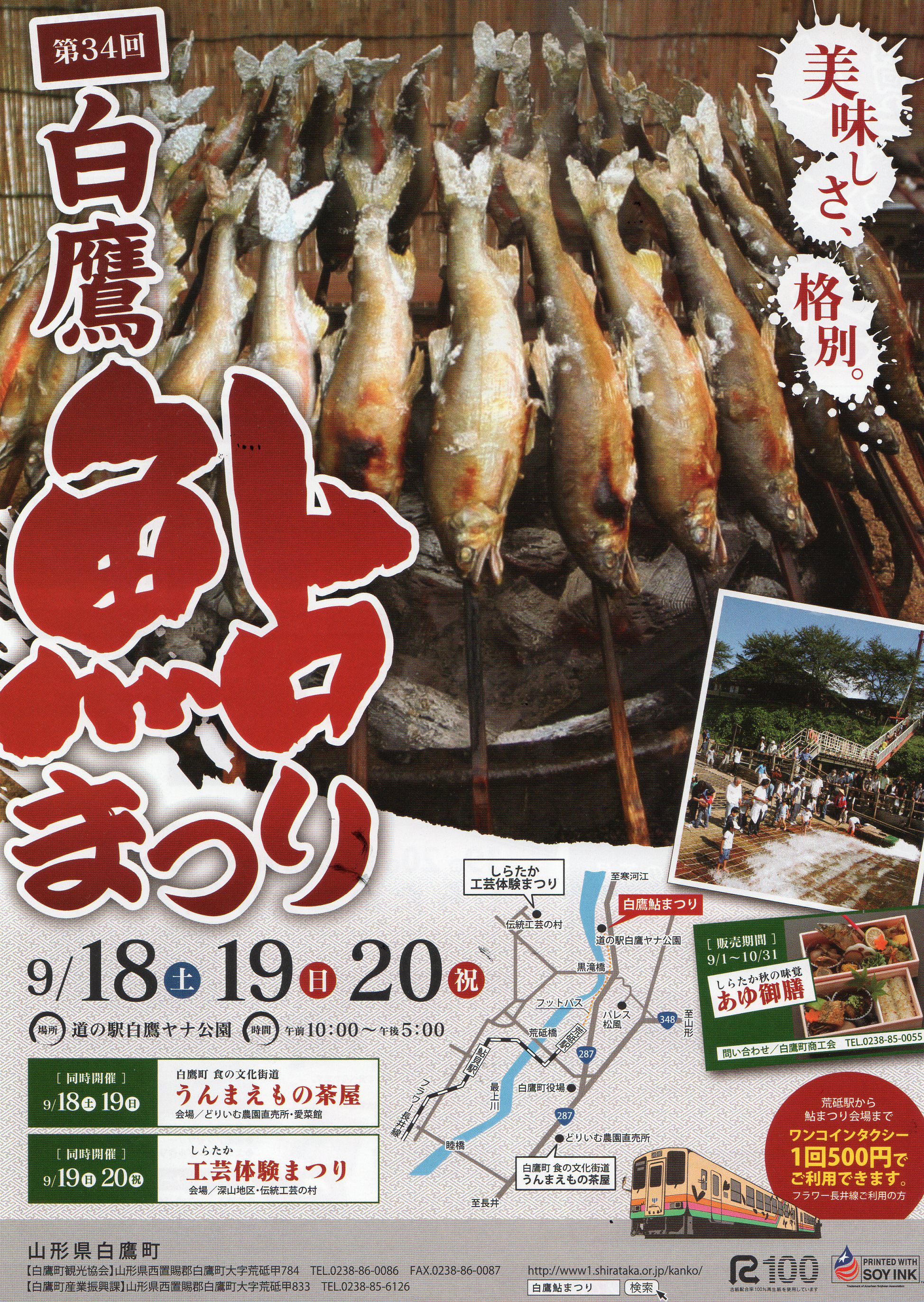 白鷹のヤナ場へ