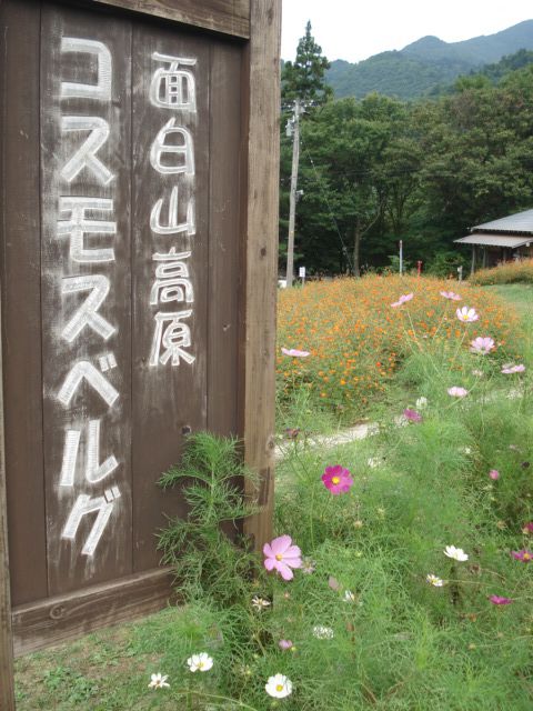 『家庭の日』にコスモスベルグへ☆菓樹ママ