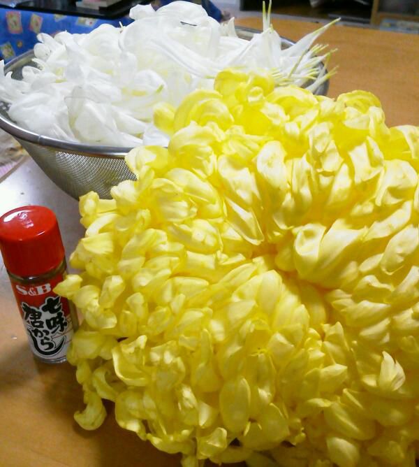 菊