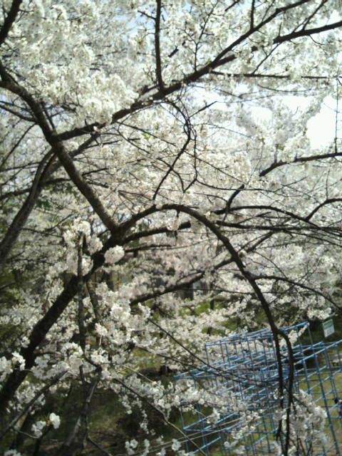 皆で大息を抜く。